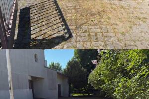 IMG_3072.jpeg