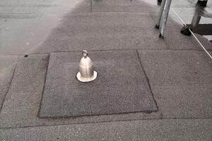 IMG_1880.jpeg