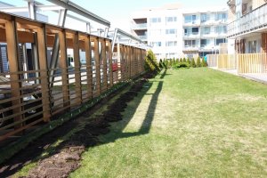 Elupuuheki ettevalmistus.jpg