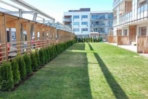 Elupuuheki istutamine.jpg