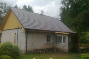 Eramaja Järva -Jaanis2.jpg