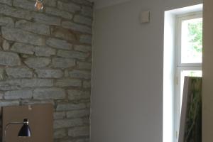 Tulemus pärast värvimist14.JPG