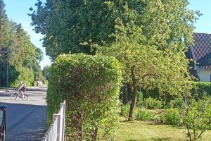 WhatsApp Image 2024-07-19 at 16.32.21_a6004cd0.jpg