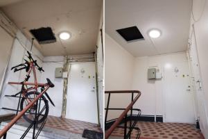 COLLAGE_20210514_161925 – koopia.jpg