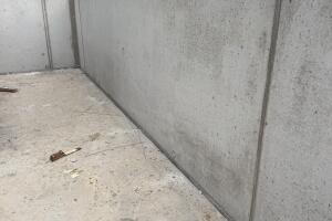 IMG_2549.jpeg