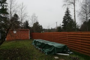 kauri telefoni pildid 282.jpg