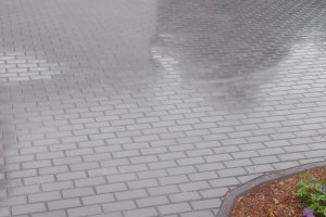 IMG_20140701_130025 - Copy.jpg