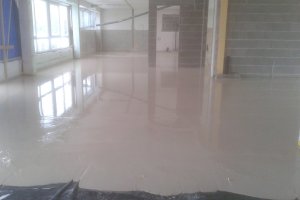 2017-10-26 14.24.55.jpg