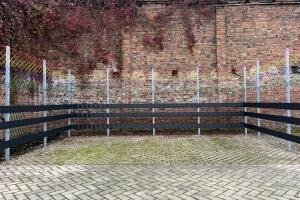 IMG_4821.jpeg