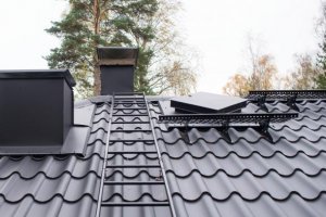 Insergrupp katus.jpg