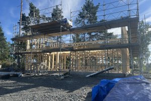 Puitkarkass majad.JPG