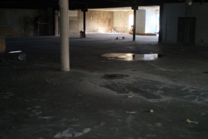 Jõul, pluss Melli töö 133.JPG