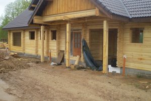 Jõul, pluss Melli töö 170.JPG