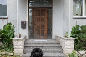 Korteriühistu trepi renoveerimine Tallinnas-18.JPG