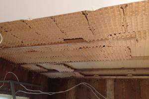 IMG_20230710_190040 - Copy.jpg