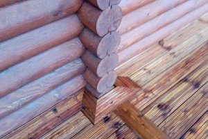 WhatsApp Image 2024-02-27 at 14.24.06.jpeg