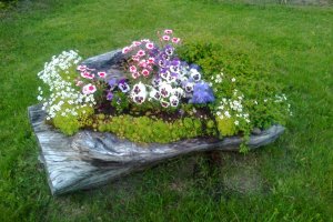 Kännuistutus (1).jpg