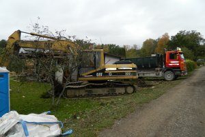 Lammutus pooleli.jpg