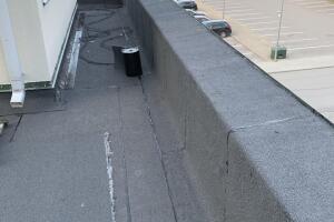 IMG_5257.jpeg