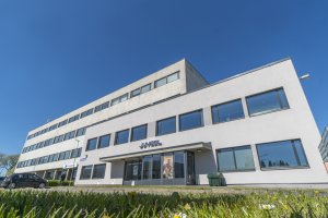 Kadaka tee 36.(2).jpg