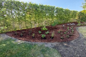 IMG_20240605_192813 (1).jpg