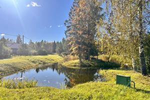 Tiik enne puhastamist.jpg