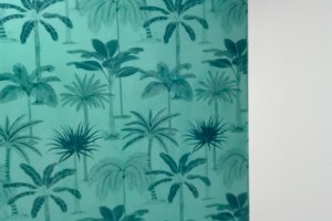 IMG_20190111_123948 1.jpg