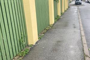 IMG_1732.jpeg