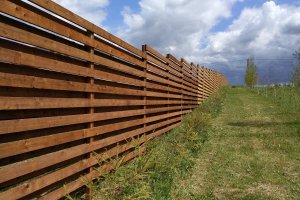 One + 2015-2016 1490.jpg