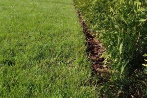 photo_2020-06-18_19-21-36 (2).jpg