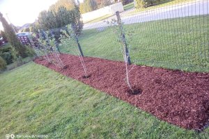 WhatsApp Image 2024-07-19 at 16.35.41_1358179a.jpg