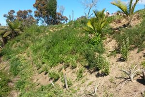 2015-11-09 09.58.08.jpg