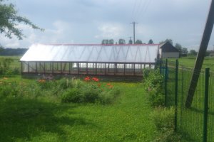 Polükarbonaadist  kasvuhoone.jpg