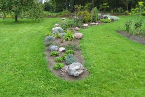 Püsikupeenar Kakumäel.JPG