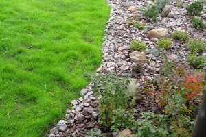 Püsikupeenar veesilmaga Kundas.JPG