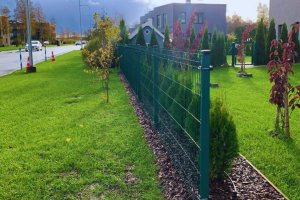 Multši paigaldamine 1.jpg