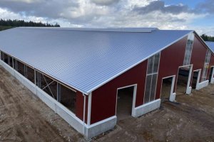 photo_2021-01-29 18.18.57.jpeg