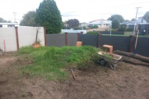 2016-03-16 14.59.15.jpg