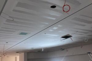 IMG_2093.jpeg