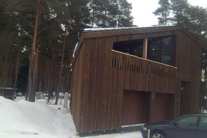 Rohuneeme laudis.jpg