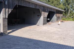 IMG_20260730_175631.jpg