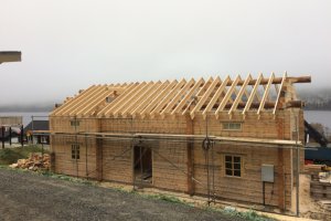 Sarikad paigaltatud.JPG