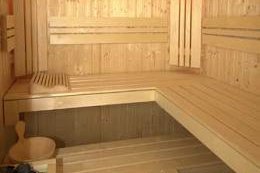 Saunafree1_260x389.jpg
