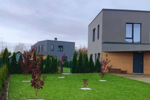 Haljastustööd 1.jpg