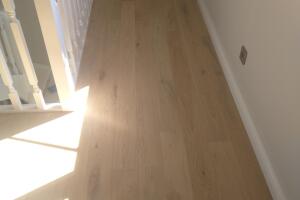 IMG_20240829_134940.jpg