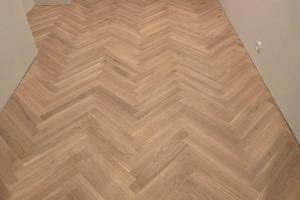 465726216_537246912420975_2047462573484789251_n (1).jpg