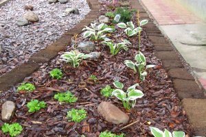 Turbapeenar Kundas.JPG