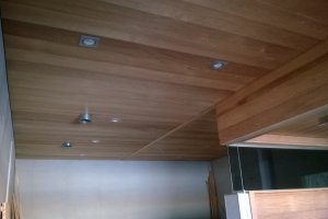 ACER - WP_20150527_004.jpg