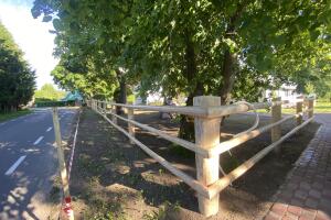IMG_6925.jpeg