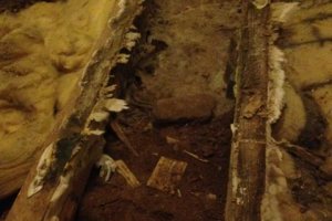 Vamm esikus 2014 - 14.jpg